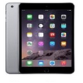 Apple 64 GB Wi-Fi iPad Air 2 (Space Gray)